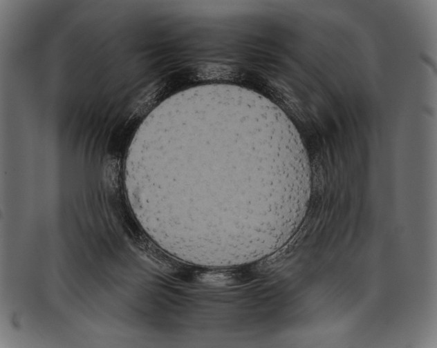 X0000097660171200803280959