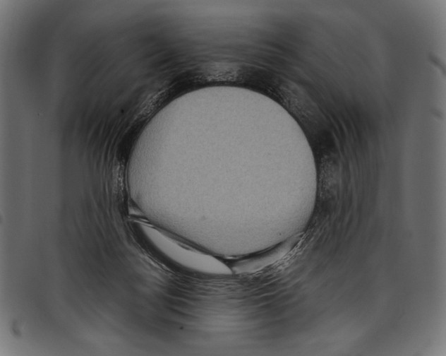X0000097660172200803280959