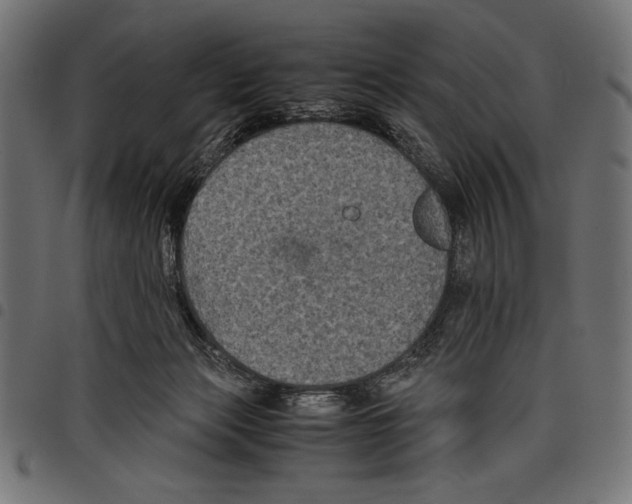 X0000097660173200803280959