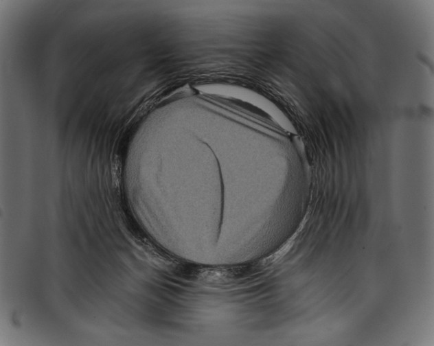 X0000097660174200803280959
