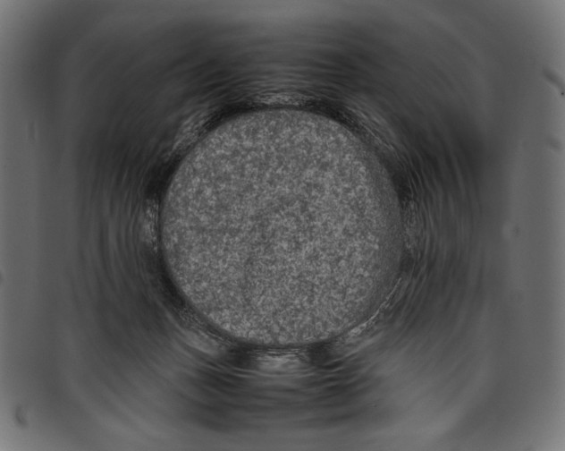 X0000097660175200803280959