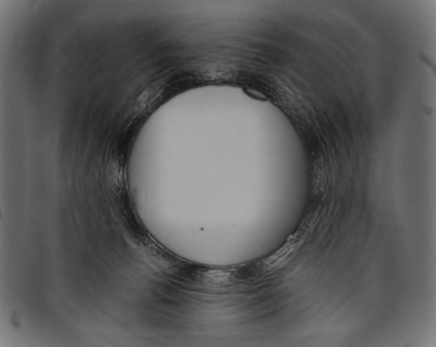 X0000097660176200803280959