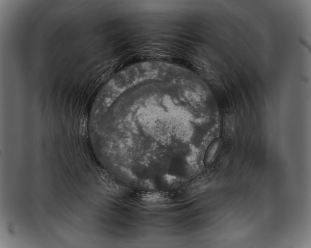X0000097660177200803280959