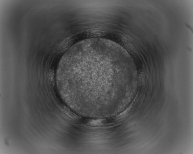 X0000097660178200803280959