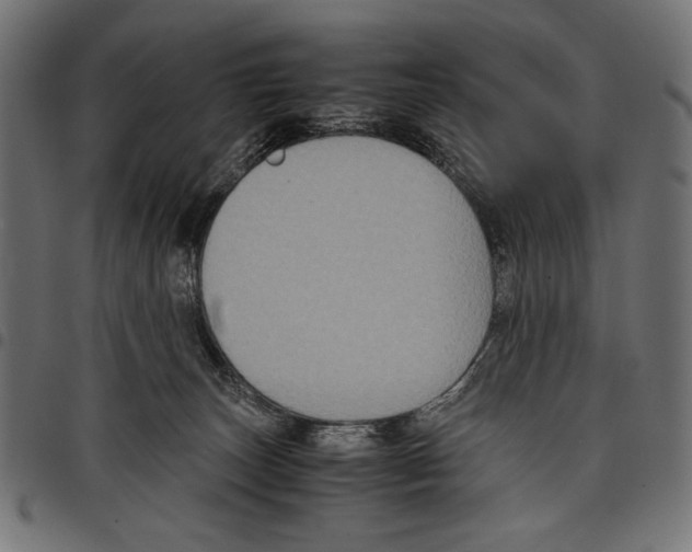 X0000097660179200803280959