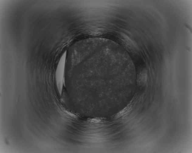 X0000097660180200803280959