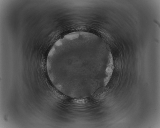 X0000097660181200803280959