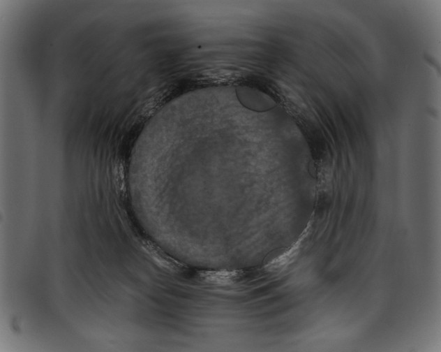 X0000097660182200803280959