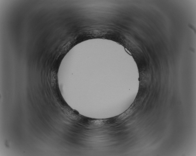 X0000097660184200803280959
