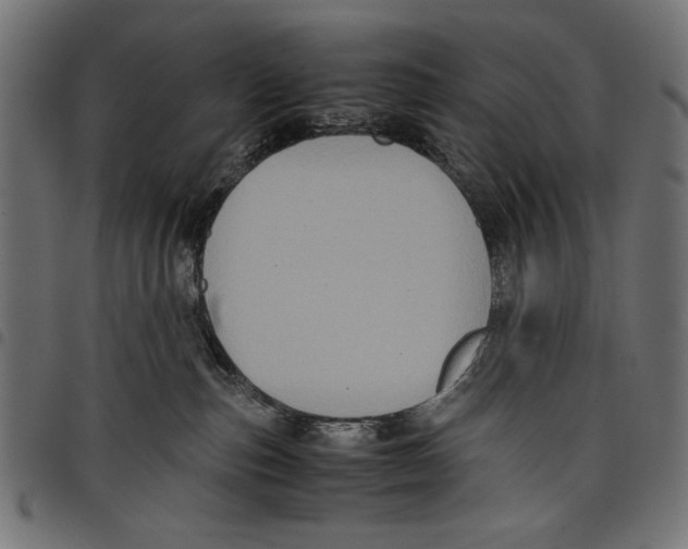 X0000097660187200803280959