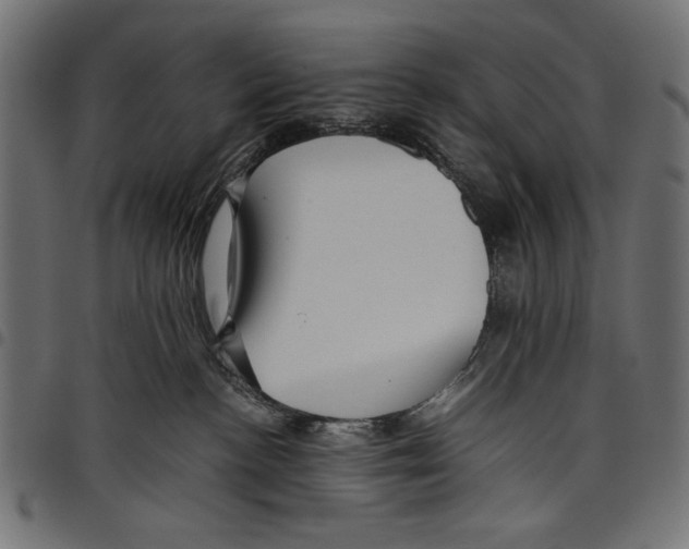 X0000097660188200803280959