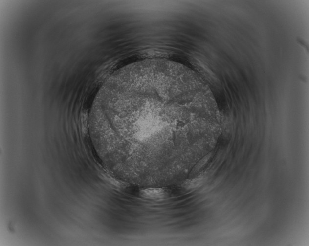 X0000097660189200803280959