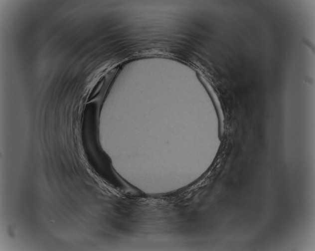 X0000097660193200803280958