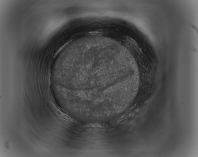 X0000097660194200803280958
