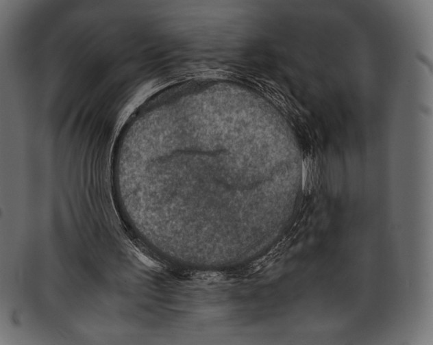 X0000097660195200803280958