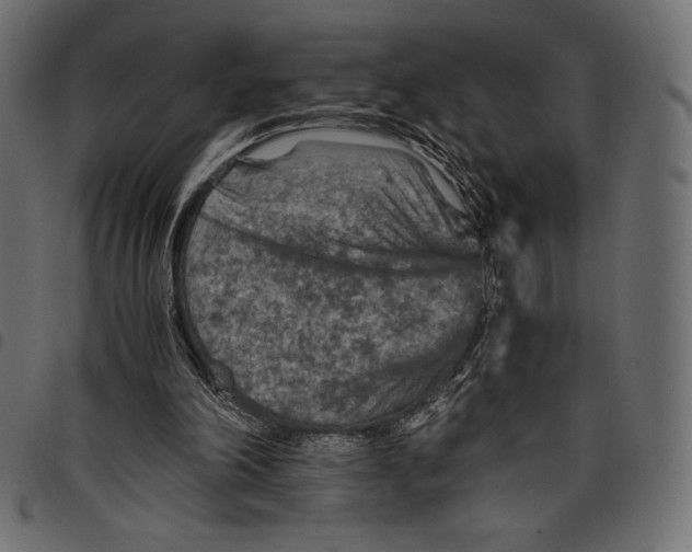 X0000097660198200803280958