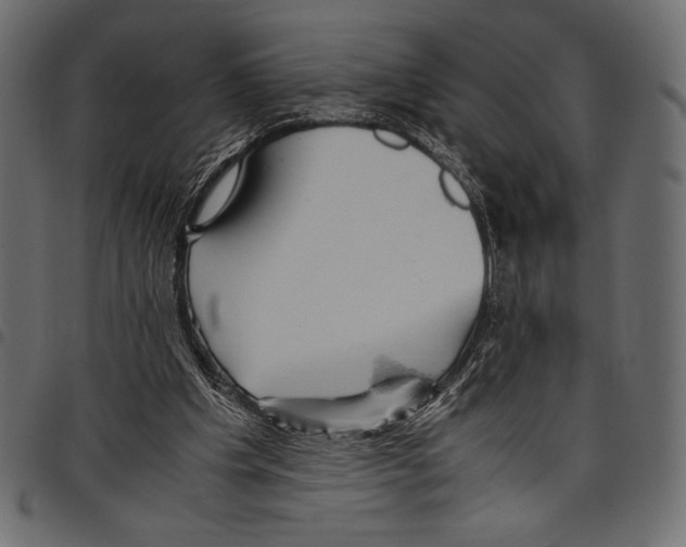 X0000097660201200803280958