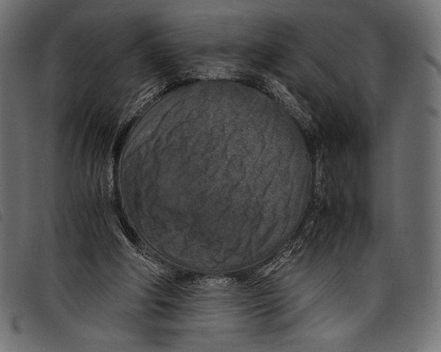 X0000097660202200803280958
