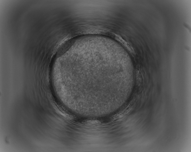 X0000097660203200803280958