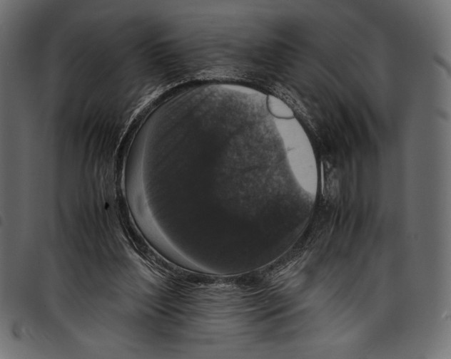 X0000097660204200803280958