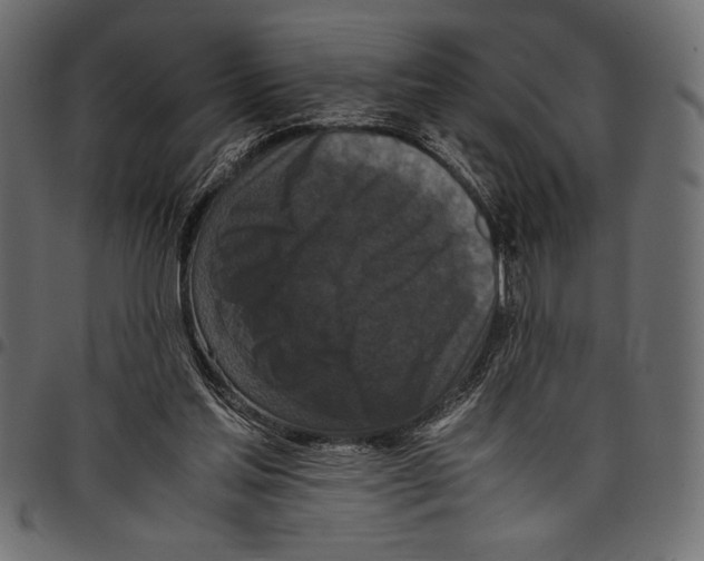 X0000097660205200803280958