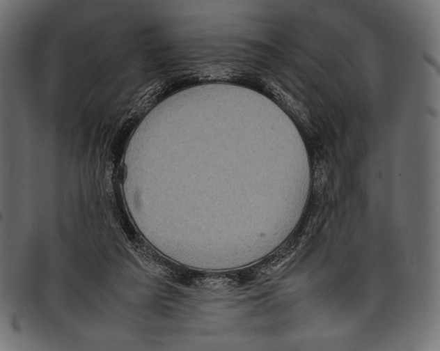 X0000097660209200803280958