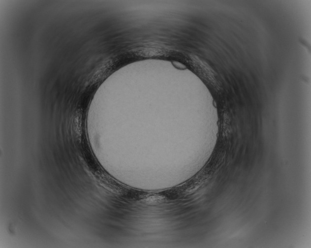 X0000097660210200803280958