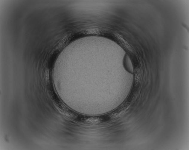 X0000097660213200803280958