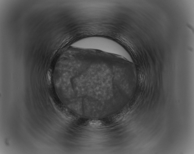 X0000097660214200803280958