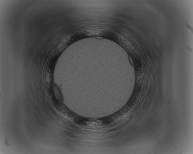X0000097660215200803280958