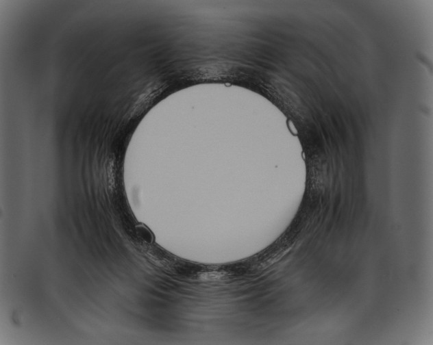 X0000097660216200803280958