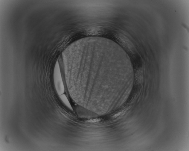 X0000097660217200803280958