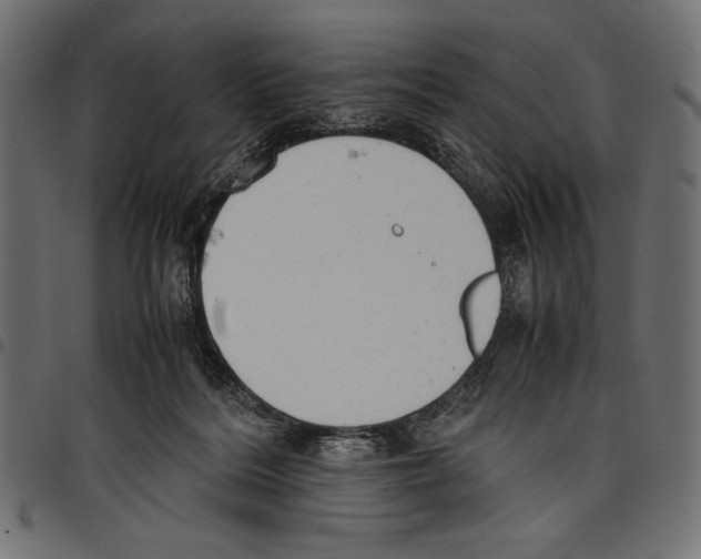 X0000097660220200803280958
