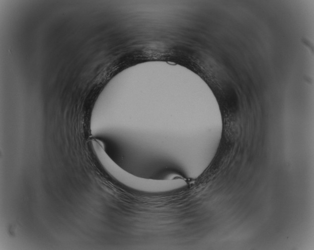 X0000097660221200803280958