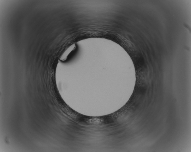 X0000097660225200803280958