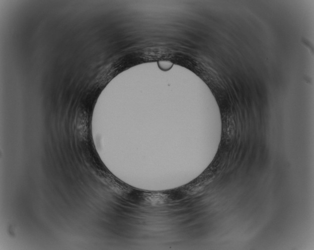 X0000097660226200803280958