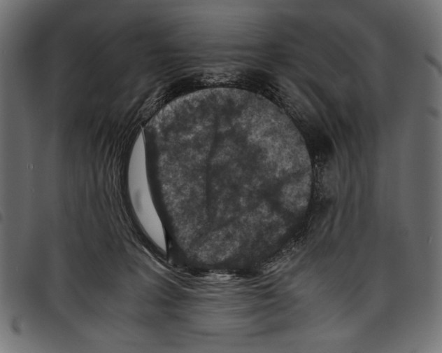 X0000097660227200803280958