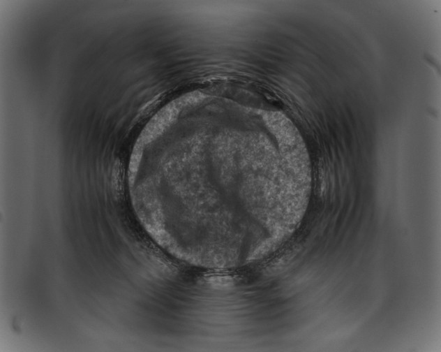 X0000097660228200803280958