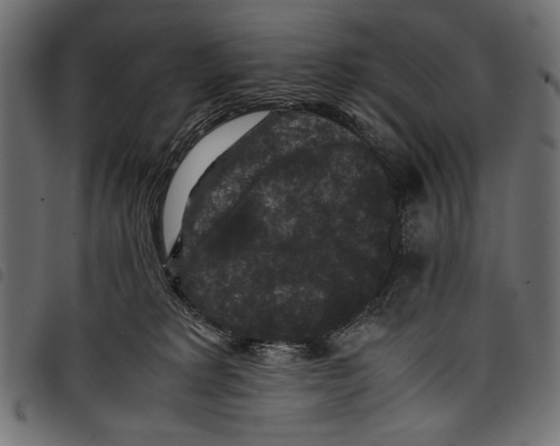 X0000097660229200803280958