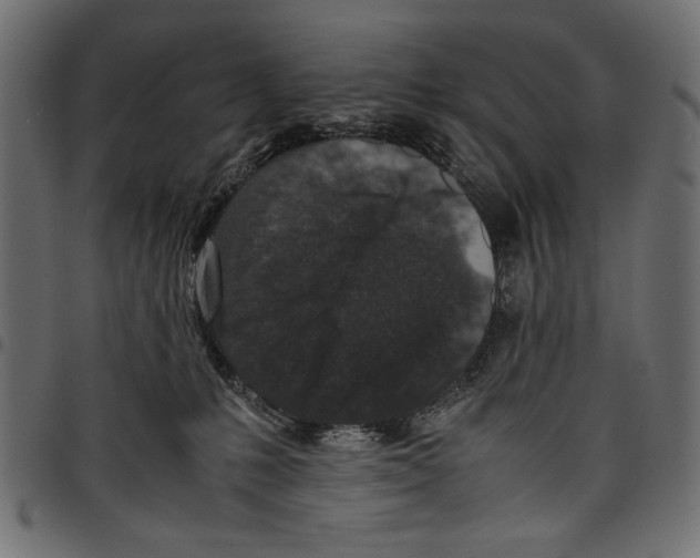 X0000097660231200803280958