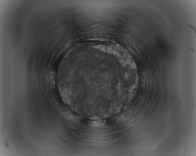 X0000097660232200803280958