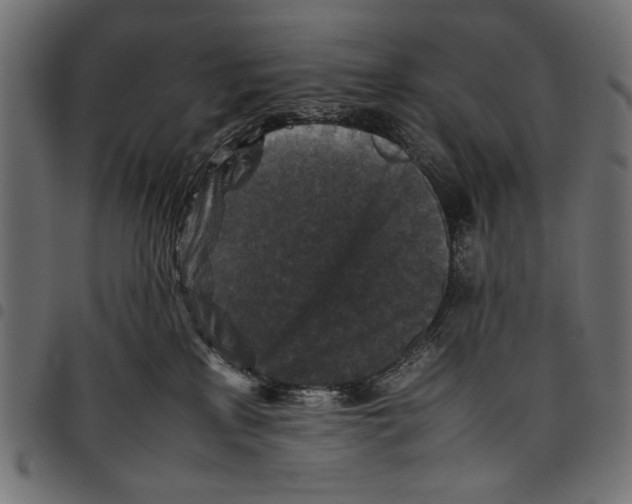 X0000097660233200803280958