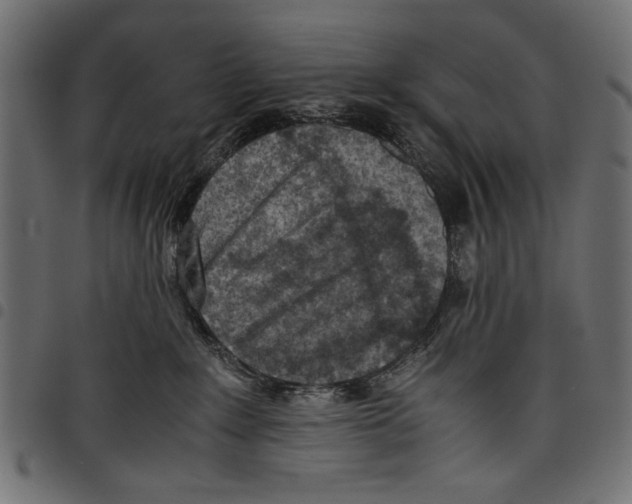 X0000097660235200803280958