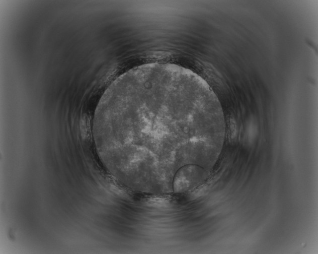 X0000097660236200803280958