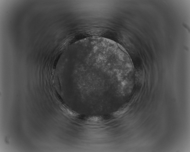 X0000097660237200803280958