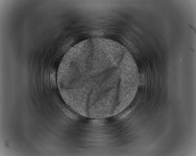 X0000097660238200803280958