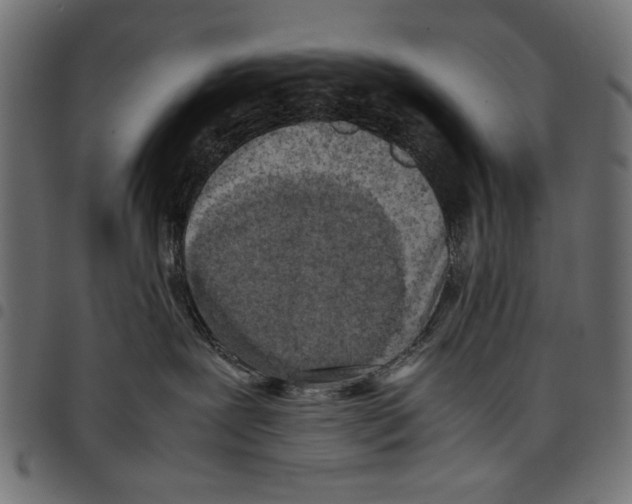 X0000097660239200803280958