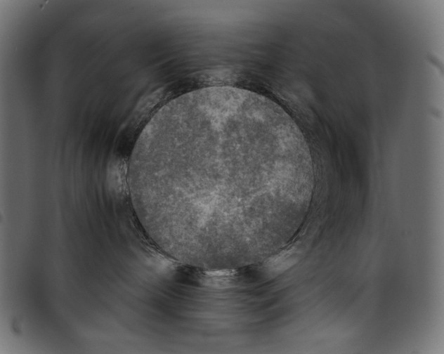 X0000097660240200803280958