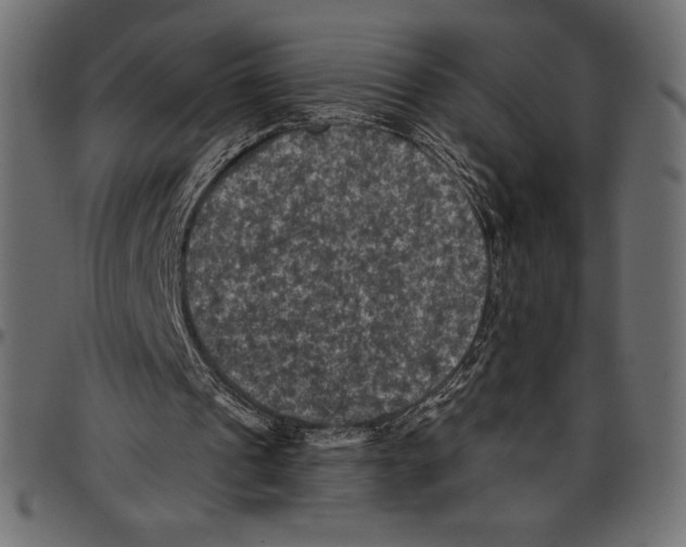X0000097660241200803280957