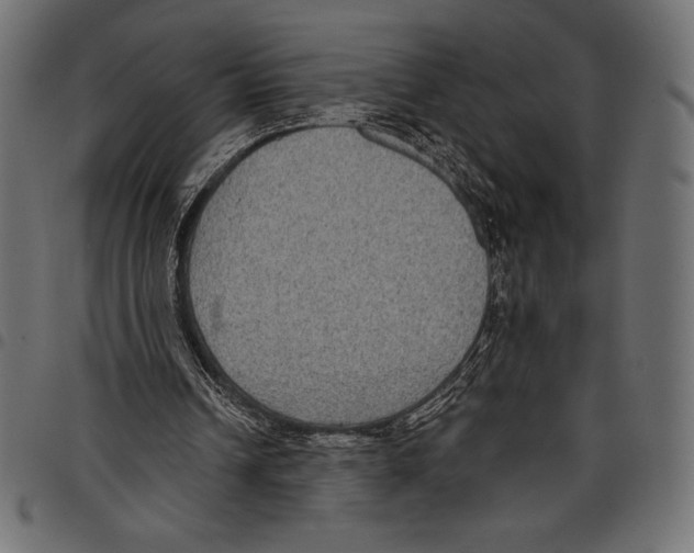 X0000097660242200803280957